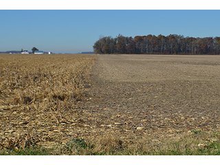 Tract 2 - FARMLAND AUCTION - 165.5+/- ACRES OFFERED IN 5 TRACTS OR COMBINATIONS IN EAST ALLEN COUNTY